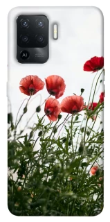 Чехол на Oppo Reno 5 Lite Поле маков фото 1 из 1