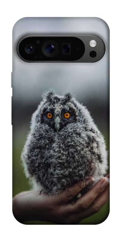 Чехол на Google Pixel 9 Pro Совёнок фото 1 из 1