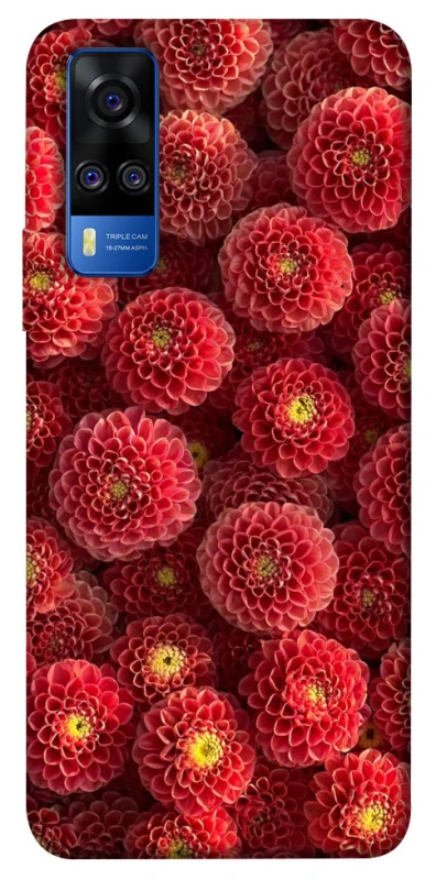 Чохол на Vivo Y51a Midnight1 фото 1 з 1