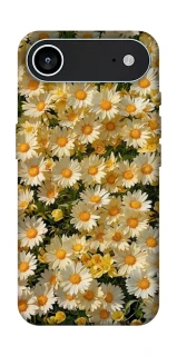 Чохол на Apple iPhone 17 Air (6.5") Camomile фото 1 з 1