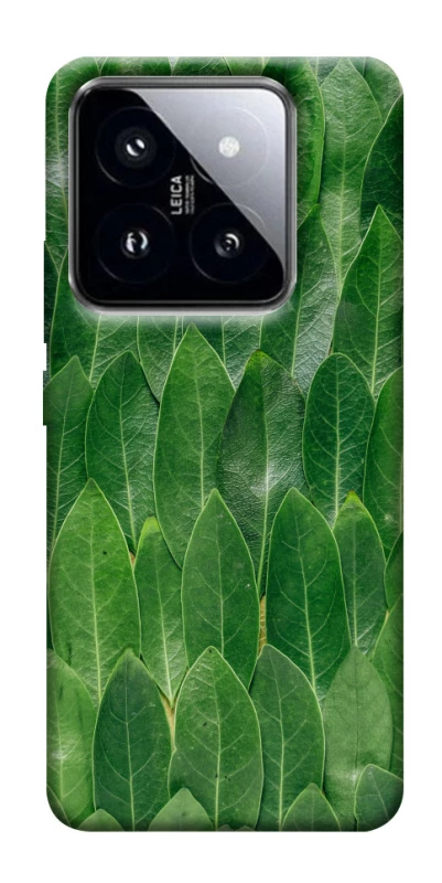 Чехол на Xiaomi 14 Pro Листья фото 1 из 1