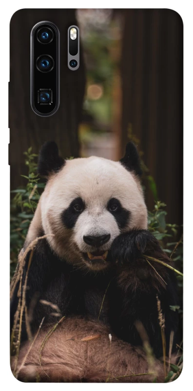 Чохол на Huawei P30 Pro Панда фото 1 з 1