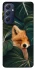 Чохол на Samsung Galaxy M54 5G Fox фото 1 з 1