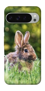 Чохол на Google Pixel 9 Pro XL Кролики фото 1 з 1