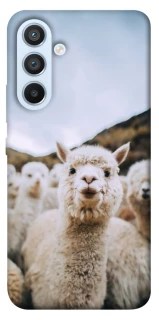Чохол на Samsung Galaxy A54 5G Лама фото 1 з 1