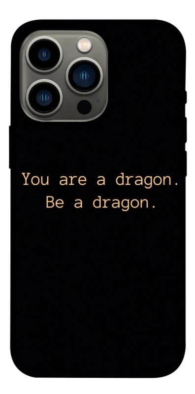 Чехол на Apple iPhone 13 Pro (6.1") House of the Dragon ver.9 фото 1 из 1