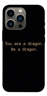 Чехол на Apple iPhone 13 Pro (6.1") House of the Dragon ver.9 фото 1 из 1