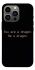 Чехол на Apple iPhone 13 Pro (6.1") House of the Dragon ver.9 фото 1 из 1