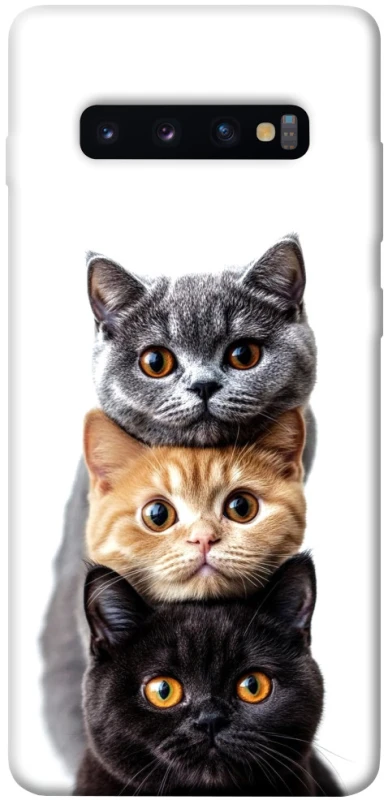 Чохол на Samsung Galaxy S10+ Гарні котики фото 1 з 1