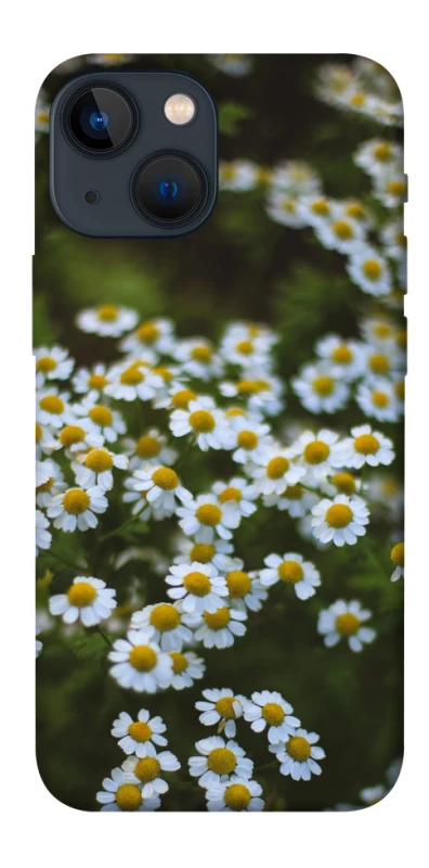 Чехол на Apple iPhone 13 mini (5.4") Ромашки v13 фото 1 из 1