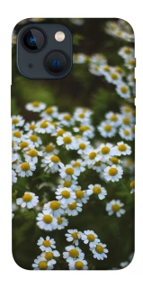 Чехол на Apple iPhone 13 mini (5.4") Ромашки v13 фото 1 из 1