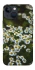Чехол на Apple iPhone 13 mini (5.4") Ромашки v13 фото 1 из 1