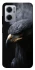 Чохол на Xiaomi Redmi Note 11E black eagle фото 1 з 1