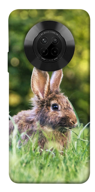 Чохол на Huawei Y9a Кролики фото 1 з 1