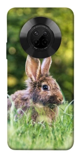 Чехол на Huawei Y9a Кролики фото 1 из 1