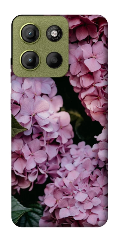 Чохол на Motorola Moto G15 4G Рожеві гартензії фото 1 з 1