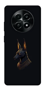 Чохол на Realme Narzo 70x Anubis фото 1 з 1