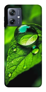 Чохол на Motorola Moto G54 Flowers v16 фото 1 Чохол на Motorola Moto G54 Flowers v16 фото 1 з 1