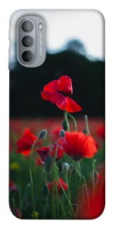 Чехол на Motorola Moto G31 Мак фото 1 из 1