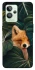 Чехол на Realme GT2 Fox фото 1 из 1