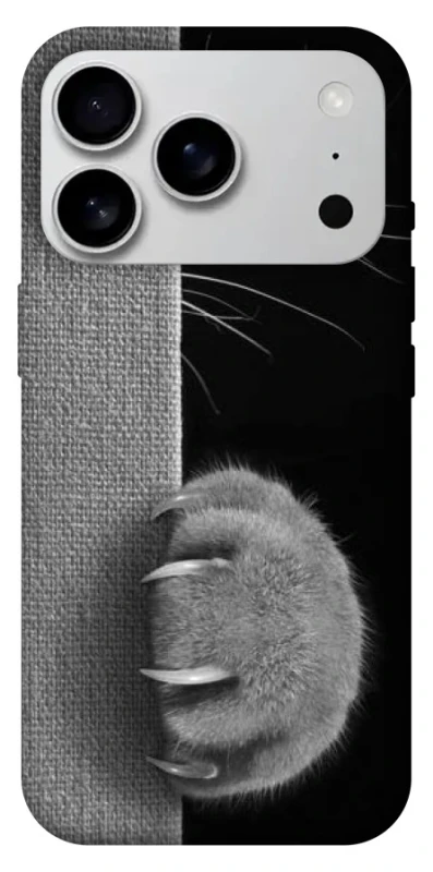 Чехол на Apple iPhone 17 Pro Max (6.9") Spy Cat фото 1 из 1