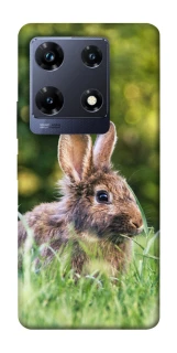 Чехол на Infinix Note 30 Pro Кролики фото 1 из 1