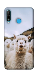 Чехол на Huawei P30 lite Лама фото 1 из 1