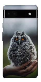 Чохол на Google Pixel 6a Совеня фото 1 з 1