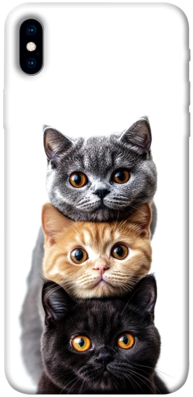 Чехол на Apple iPhone XS Max (6.5") Красивые котики фото 1 из 1