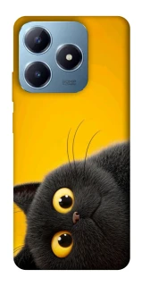 Чохол на Realme C63 This is Cat фото 1 з 1