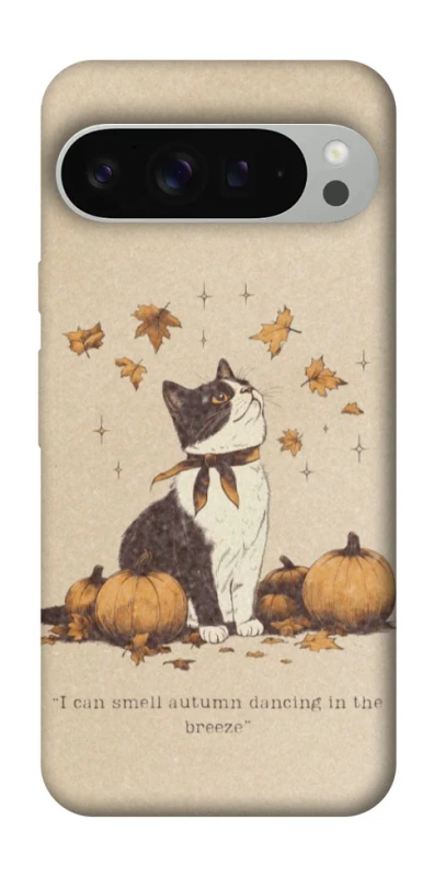 Чохол на Google Pixel 9 Pro XL Autumn vibes ver.3 фото 1 з 1