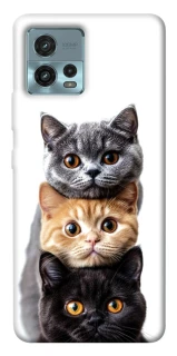 Чохол на Motorola Moto G72 Гарні котики фото 1 з 1
