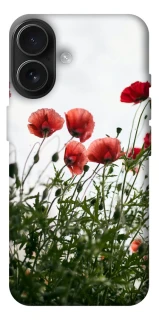 Чохол на Apple iPhone 17 (6.3") Поле маків фото 1 з 1