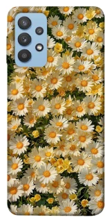 Чехол на Samsung Galaxy M32 Camomile фото 1 из 1