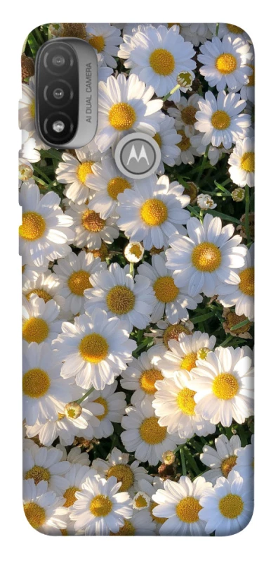 Чохол на Motorola Moto E20 Поле ромашок фото 1 з 1