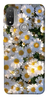 Чохол на Motorola Moto E20 Поле ромашок фото 1 з 1