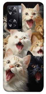 Чохол на Oppo A57s Коти фото 1 з 1