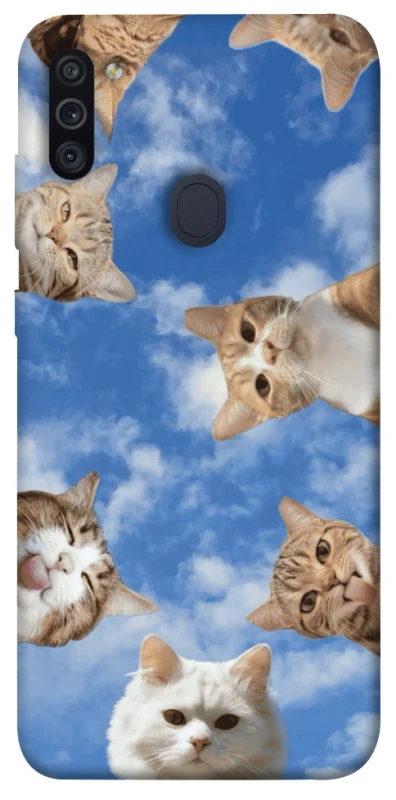Чехол на Samsung Galaxy M11 Сats фото 1 из 1