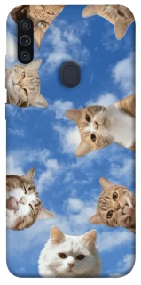Чехол на Samsung Galaxy M11 Сats фото 1 из 1