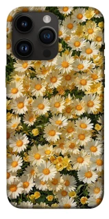 Чехол на Apple iPhone 14 Pro Max (6.7") Camomile фото 1 из 1
