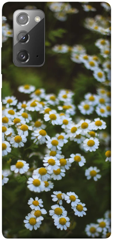 Чехол на Samsung Galaxy Note 20 Ромашки v13 фото 1 из 1