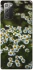 Чехол на Samsung Galaxy Note 20 Ромашки v13 фото 1 из 1