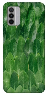 Чохол на Nokia G42 Листя фото 1 з 1