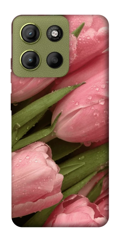 Чохол на Motorola Moto G15 4G Beauty фото 1 з 1