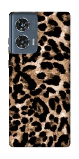 Чехол на Motorola Edge 50 Leopard Skin v4 фото 1 Чехол на Motorola Edge 50 Leopard Skin v4 фото 1 из 1
