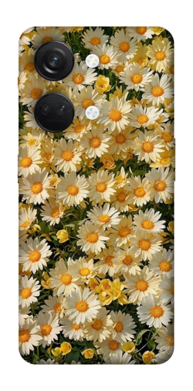 Чохол на OnePlus Nord 3 Camomile фото 1 з 1