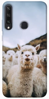 Чохол на Huawei Y6p Лама фото 1 з 1