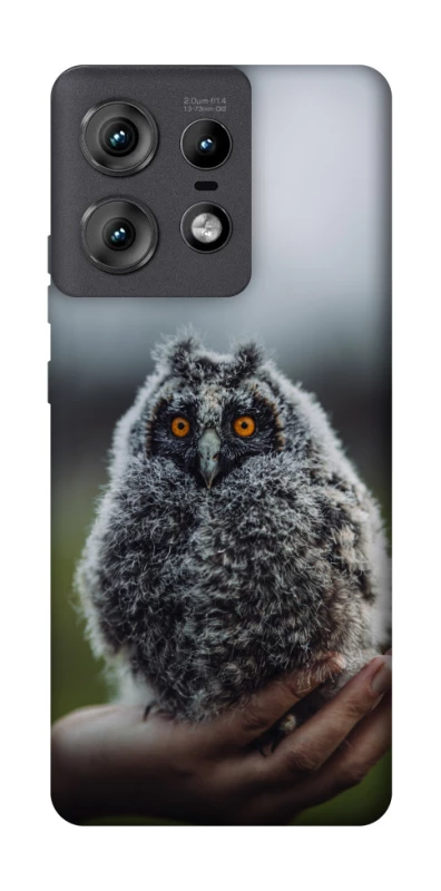 Чехол на Motorola Edge 50 Pro Совёнок фото 1 из 1