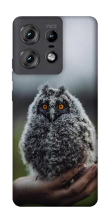 Чехол на Motorola Edge 50 Pro Совёнок фото 1 из 1