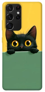 Чохол на Samsung Galaxy S21 Ultra Black cat v2 фото 1 з 1